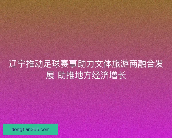 辽宁推动足球赛事助力文体旅游商融合发展 助推地方经济增长